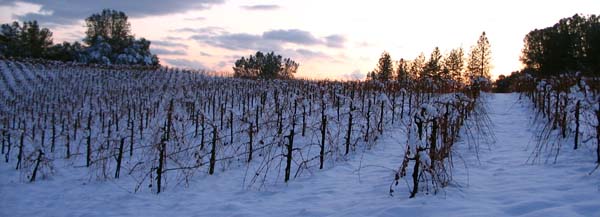 Shaker Ridge in winter