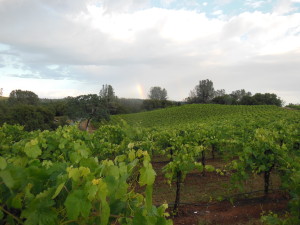 rainbow over barbera 5-21-14b